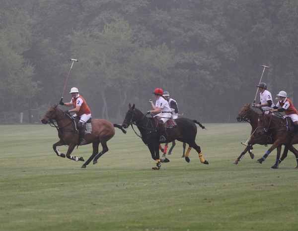 Polo_Art   096.jpg